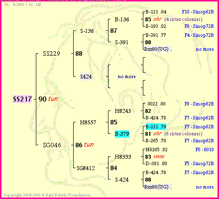 Pedigree of SS217 :
four generations presented
it's temporarily unavailable, sorry!