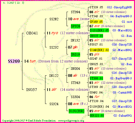 Pedigree of SS269 :
four generations presented