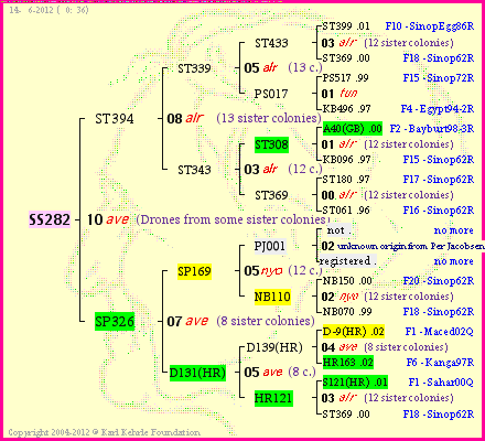 Pedigree of SS282 :
four generations presented