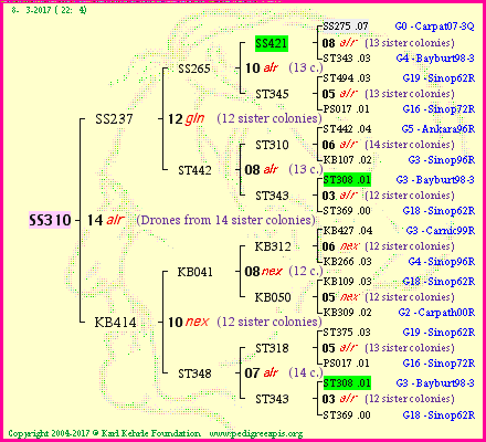 Pedigree of SS310 :
four generations presented