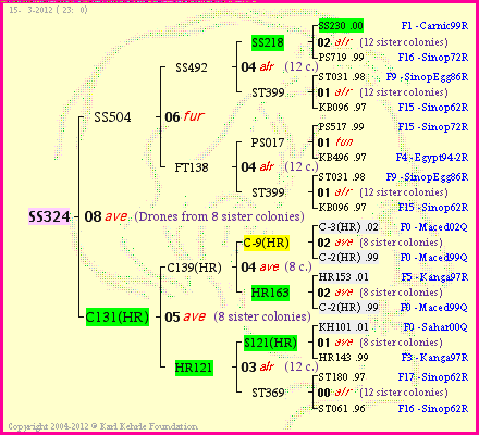 Pedigree of SS324 :
four generations presented