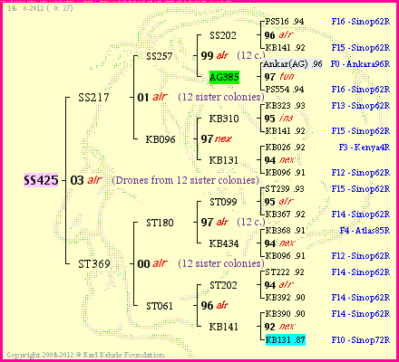 Pedigree of SS425 :
four generations presented