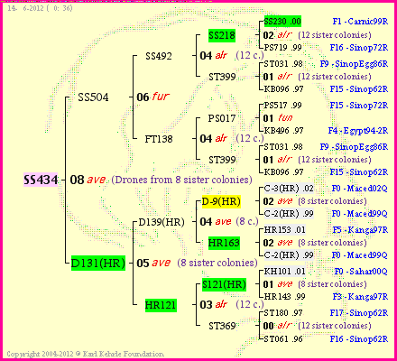 Pedigree of SS434 :
four generations presented