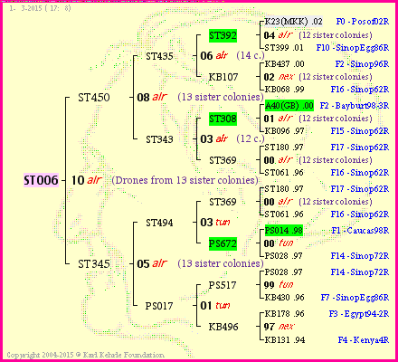 Pedigree of ST006 :
four generations presented