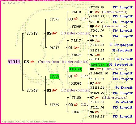 Pedigree of ST014 :
four generations presented