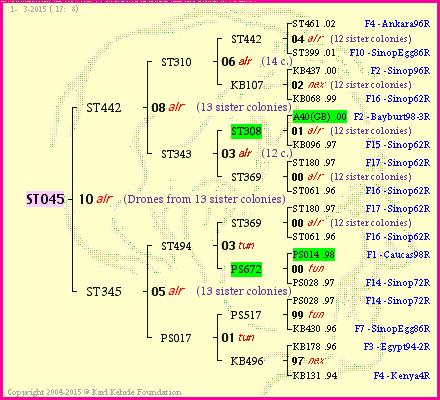 Pedigree of ST045 :
four generations presented