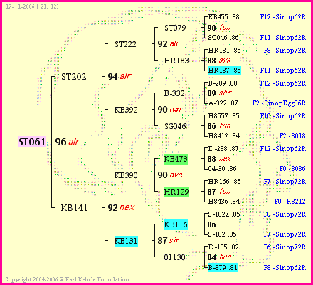 Pedigree of ST061 :
four generations presented