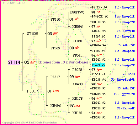 Pedigree of ST114 :
four generations presented