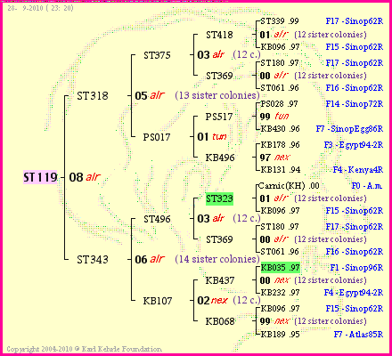Pedigree of ST119 :
four generations presented