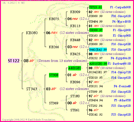 Pedigree of ST122 :
four generations presented