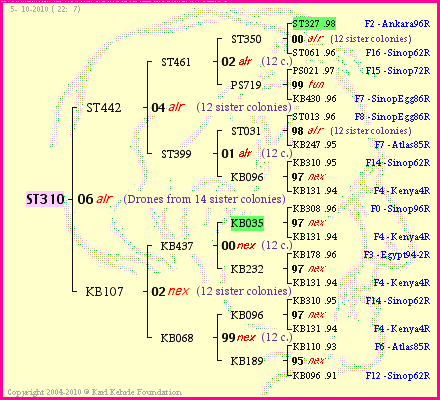 Pedigree of ST310 :
four generations presented<br />it's temporarily unavailable, sorry!