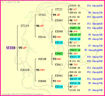 Pedigree of ST338 :
four generations presented
it's temporarily unavailable, sorry!