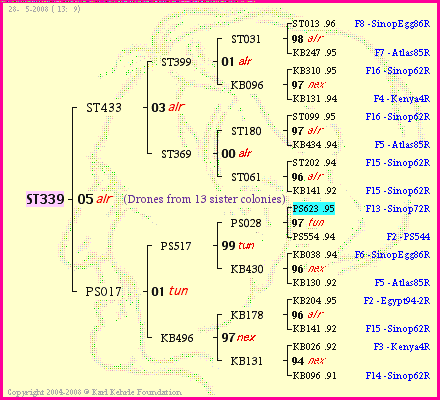 Pedigree of ST339 :
four generations presented