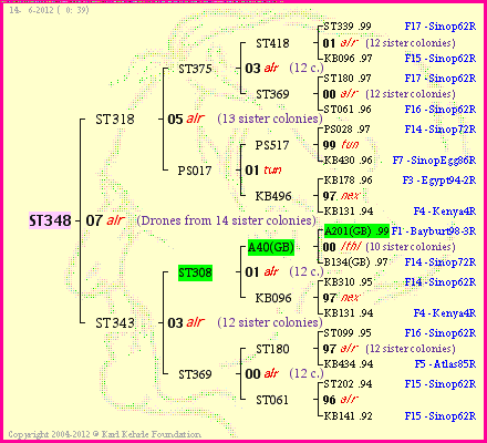 Pedigree of ST348 :
four generations presented