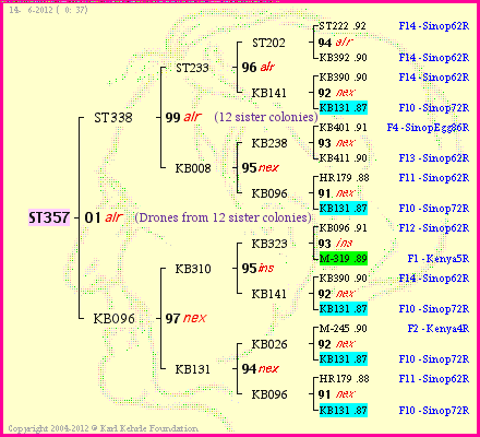 Pedigree of ST357 :
four generations presented