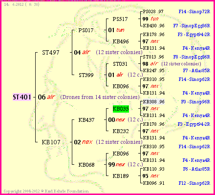 Pedigree of ST401 :
four generations presented