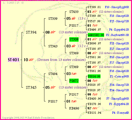 Pedigree of ST401 :
four generations presented