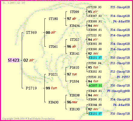 Pedigree of ST423 :
four generations presented