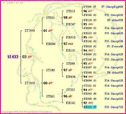 Pedigree of ST433 :
four generations presented