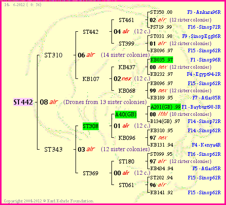 Pedigree of ST442 :
four generations presented