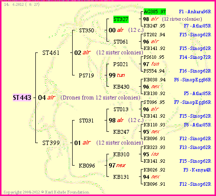 Pedigree of ST443 :
four generations presented