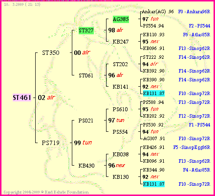 Pedigree of ST461 :
four generations presented