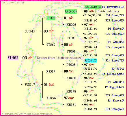 Pedigree of ST462 :
four generations presented
it's temporarily unavailable, sorry!