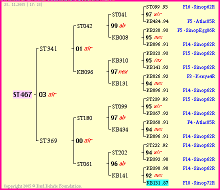 Pedigree of ST467 :
four generations presented