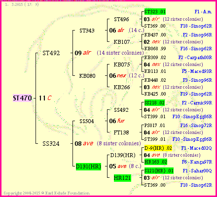 Pedigree of ST470 :
four generations presented