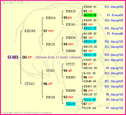 Pedigree of ST483 :
four generations presented