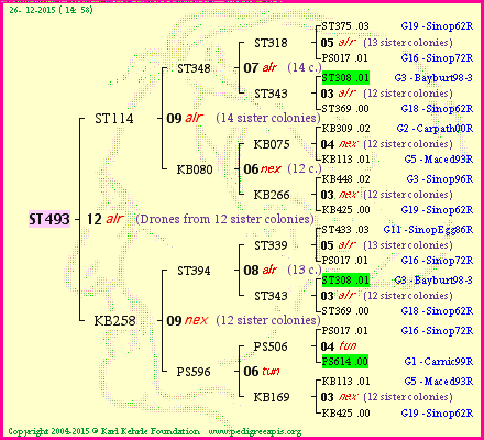 Pedigree of ST493 :
four generations presented<br />it's temporarily unavailable, sorry!