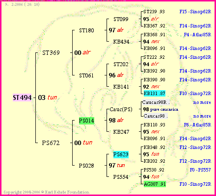 Pedigree of ST494 :
four generations presented