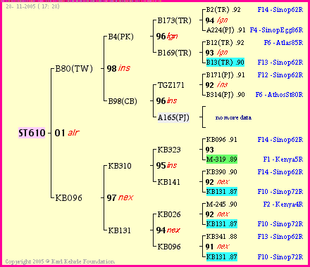 Pedigree of ST610 :
four generations presented