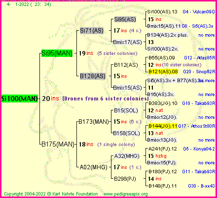 Pedigree of Si100(MAN) :
four generations presented
it's temporarily unavailable, sorry!