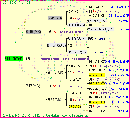 Pedigree of Si115(AS) :
four generations presented
it's temporarily unavailable, sorry!