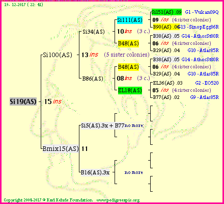 Pedigree of Si19(AS) :
four generations presented