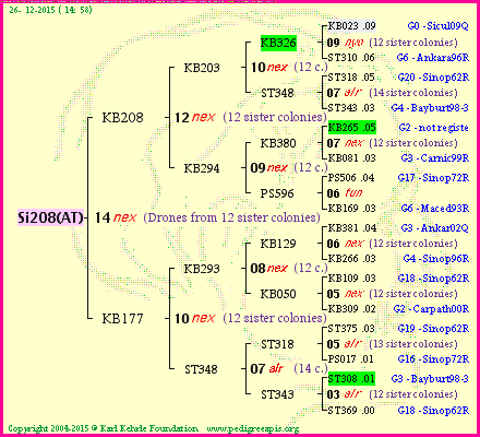 Pedigree of Si208(AT) :
four generations presented