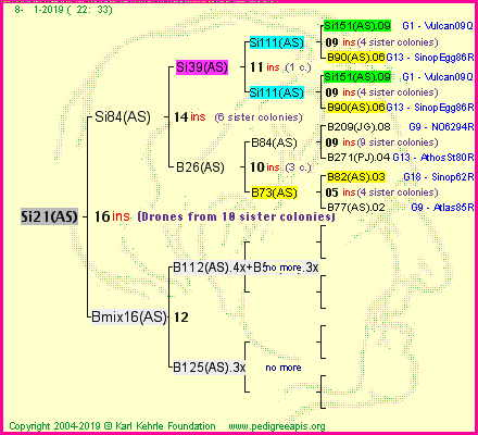 Pedigree of Si21(AS) :
four generations presented<br />it's temporarily unavailable, sorry!