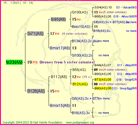 Pedigree of Si23(AS) :
four generations presented
it's temporarily unavailable, sorry!