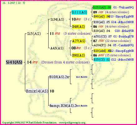 Pedigree of Si41(AS) :
four generations presented<br />it's temporarily unavailable, sorry!