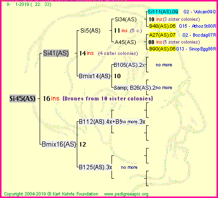 Pedigree of Si45(AS) :
four generations presented<br />it's temporarily unavailable, sorry!