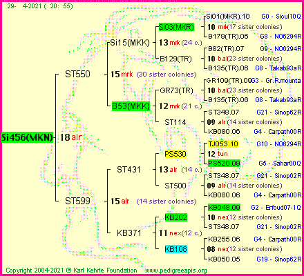 Pedigree of Si456(MKN) :
four generations presented
it's temporarily unavailable, sorry!