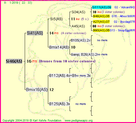 Pedigree of Si46(AS) :
four generations presented<br />it's temporarily unavailable, sorry!