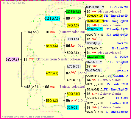 Pedigree of Si5(AS) :
four generations presented