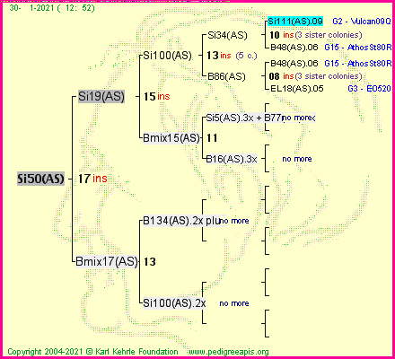 Pedigree of Si50(AS) :
four generations presented
it's temporarily unavailable, sorry!