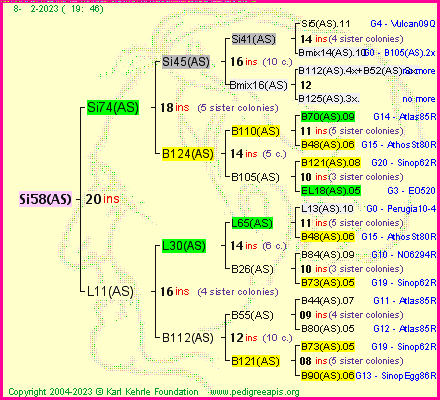 Pedigree of Si58(AS) :
four generations presented
it's temporarily unavailable, sorry!