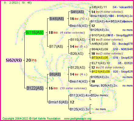 Pedigree of Si62(AS) :
four generations presented
it's temporarily unavailable, sorry!