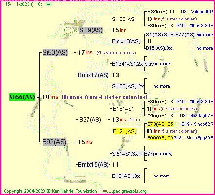 Pedigree of Si66(AS) :
four generations presented
it's temporarily unavailable, sorry!