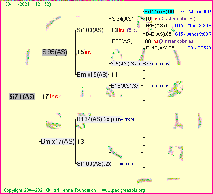 Pedigree of Si71(AS) :
four generations presented
it's temporarily unavailable, sorry!
