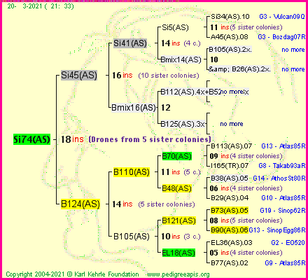 Pedigree of Si74(AS) :
four generations presented
it's temporarily unavailable, sorry!